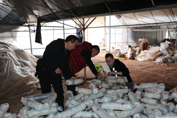 1605165431315052297.jpg 305A5791_副本.jpg