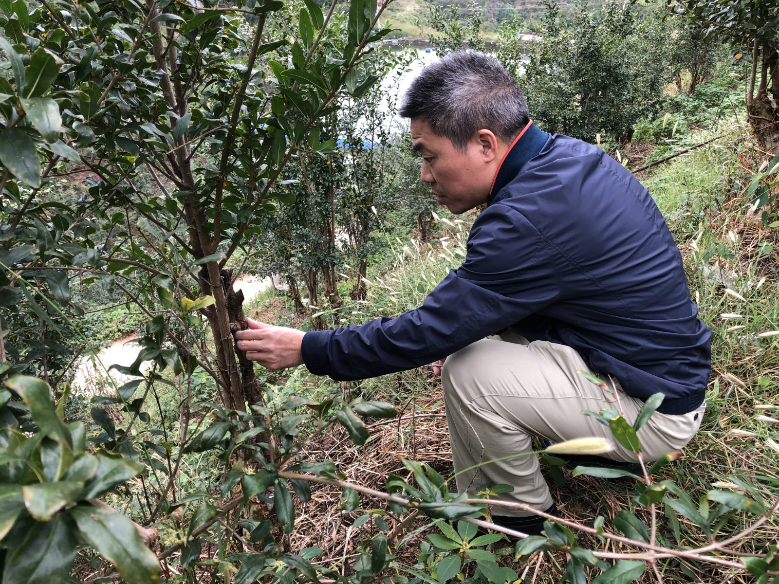 1603700095931048845.jpg 2.jpg