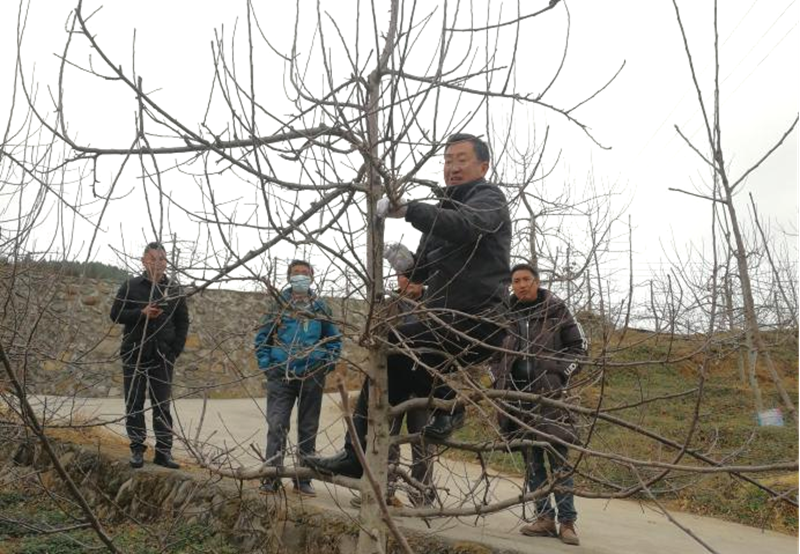 微信图片_20230221113650.png