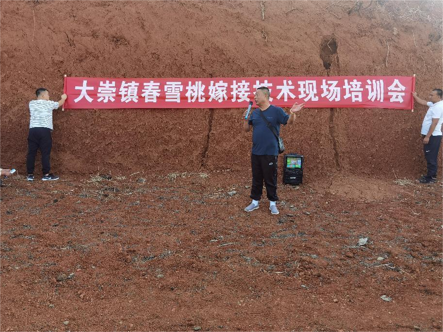 WPS图片编辑.png