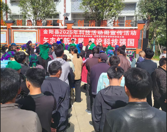 活动周1.png